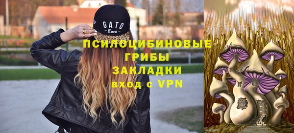 спиды Кулебаки