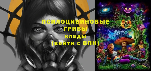 прущая мука Абаза