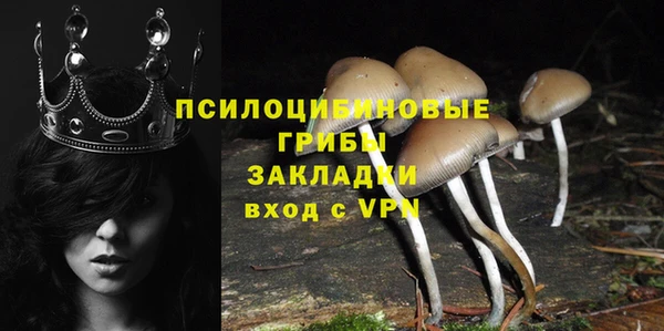 бошки Абдулино