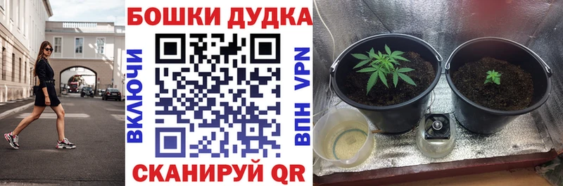 Марихуана тримм Сысерть